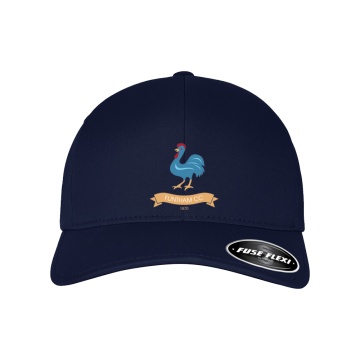 FUSE FLEXI FIT CAP